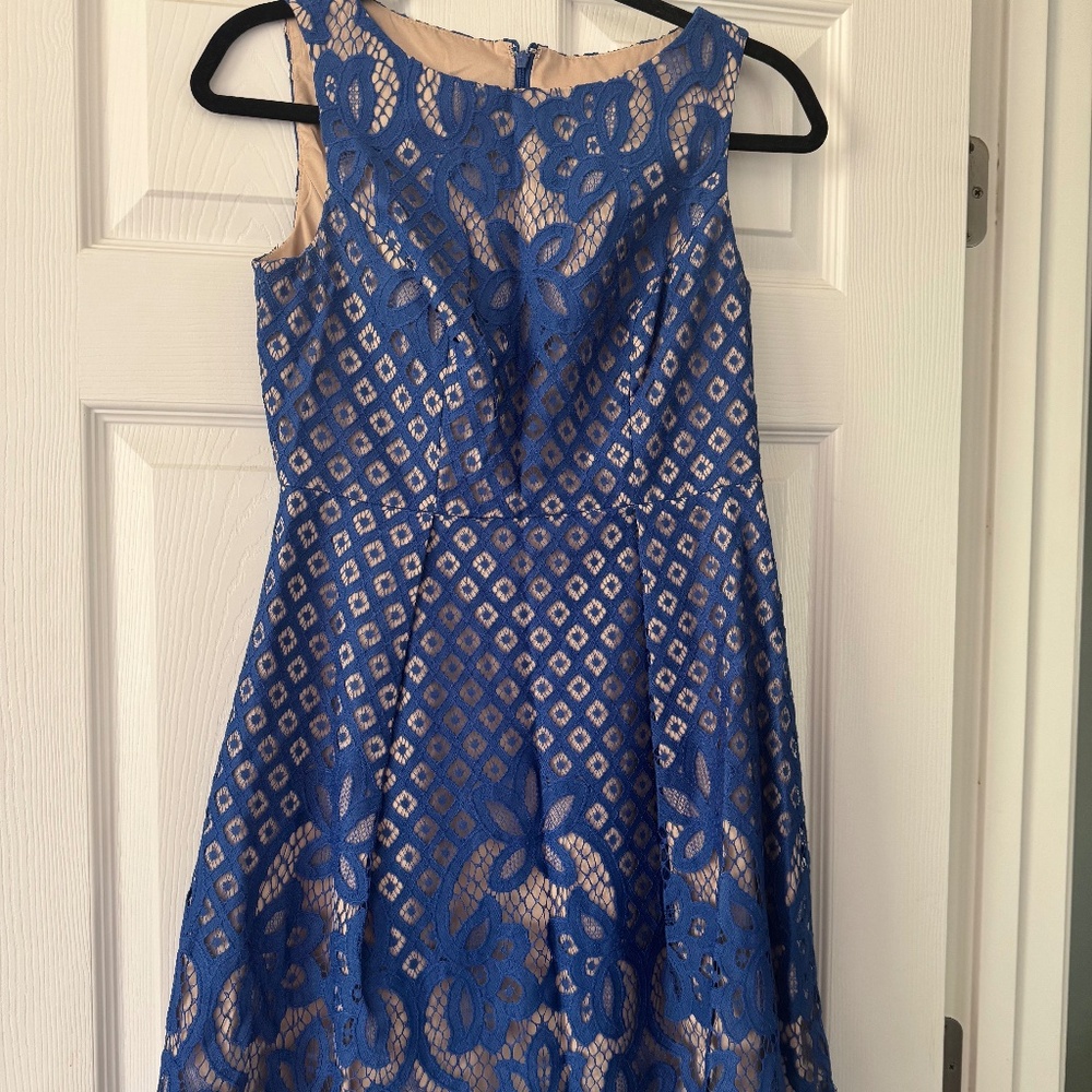 Adrianna papell cobalt blue lace cocktail dress